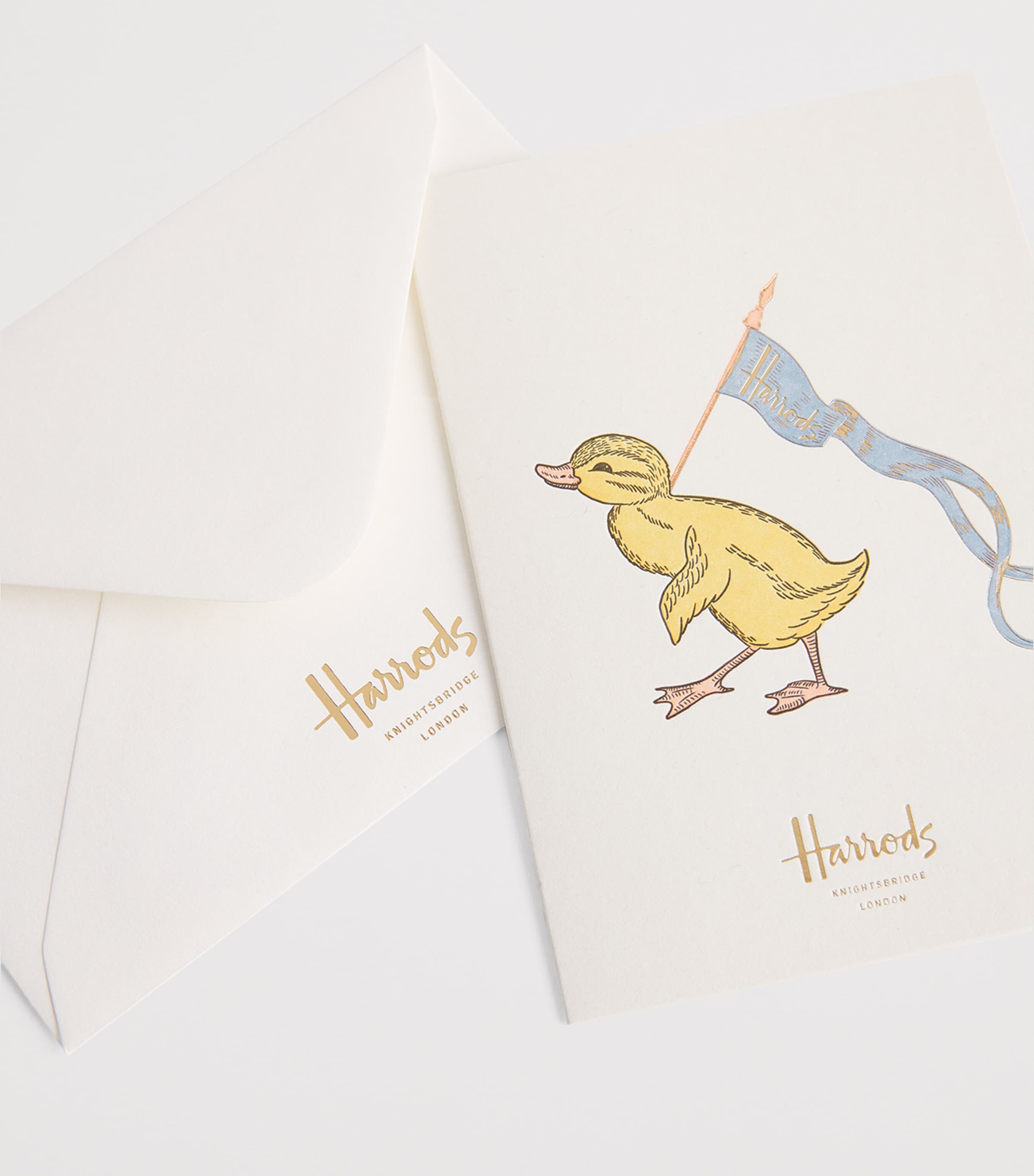 Duck Notelet Cards and Envelopes (Set of 5) MULTI Image 2
