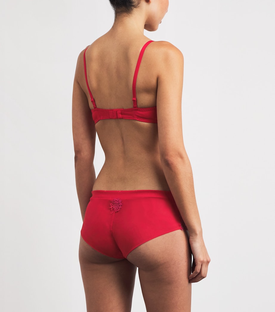 Lace Wish Plunge Push-Up Bra 160 RAINBOW RED Image 3