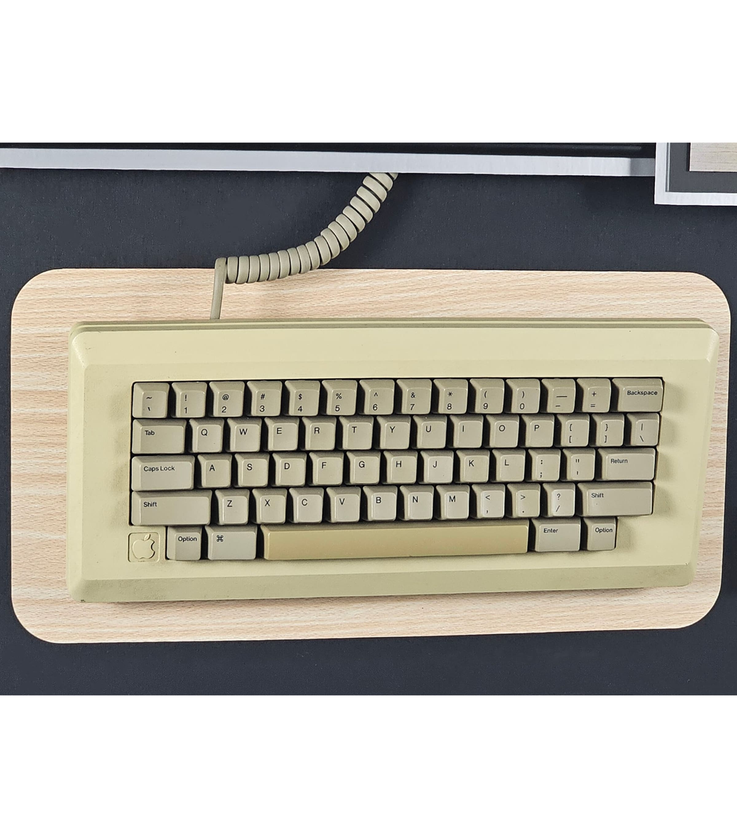 Leipzig Galleries Steve Jobs Autographed Display with Apple Macintosh Vintage Keyboard Image 2