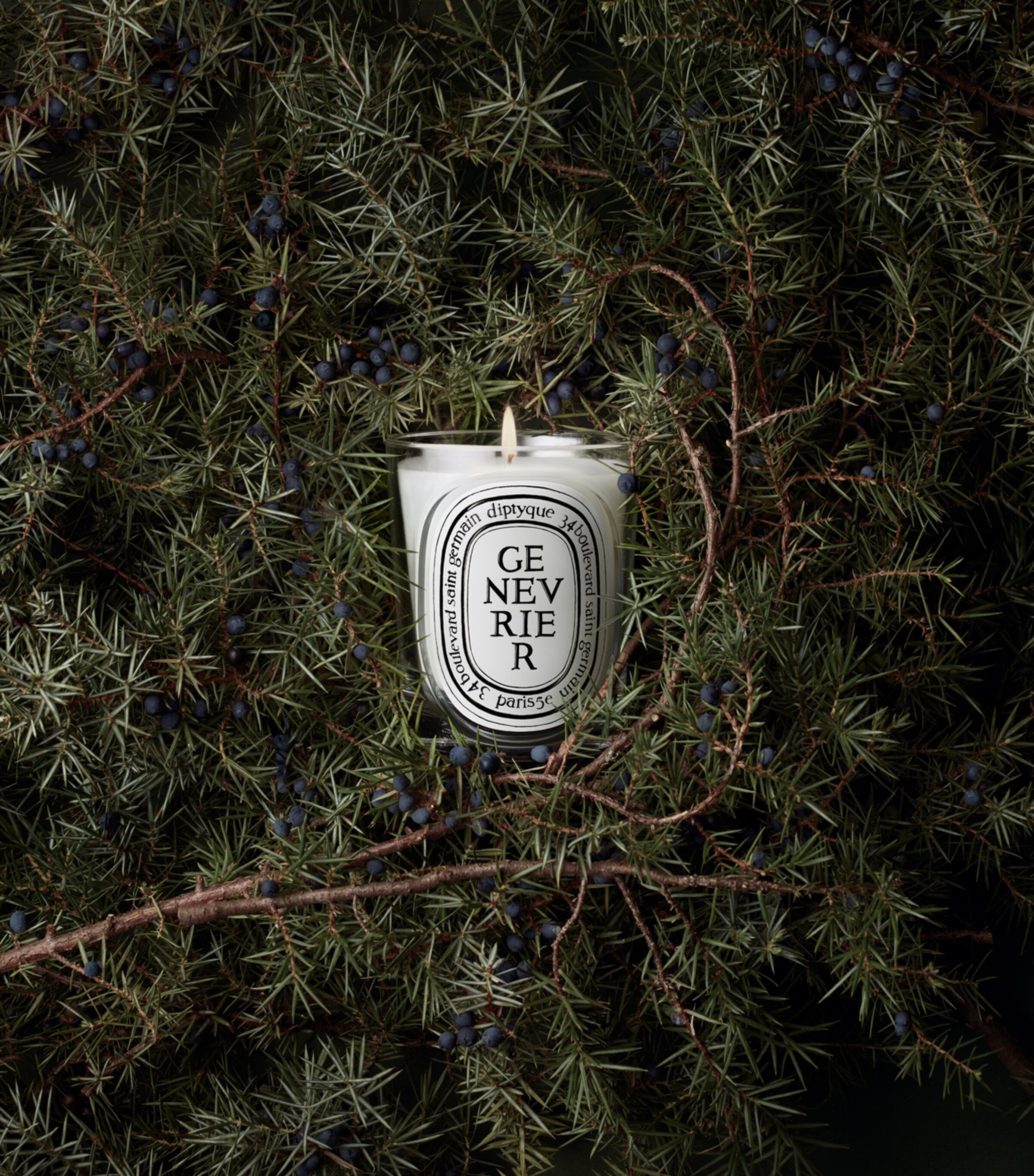Diptyque Genevrier Candle (190g) Image 3