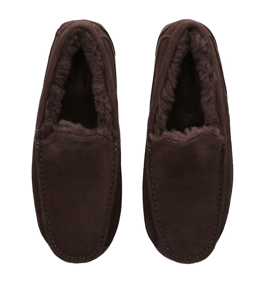Ascot Slippers BROWN/OTH Image 4