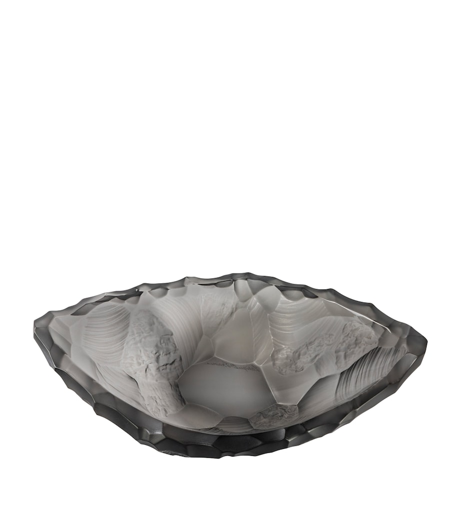 Small Crystal Silex Bowl (22cm) GRIS Image 1