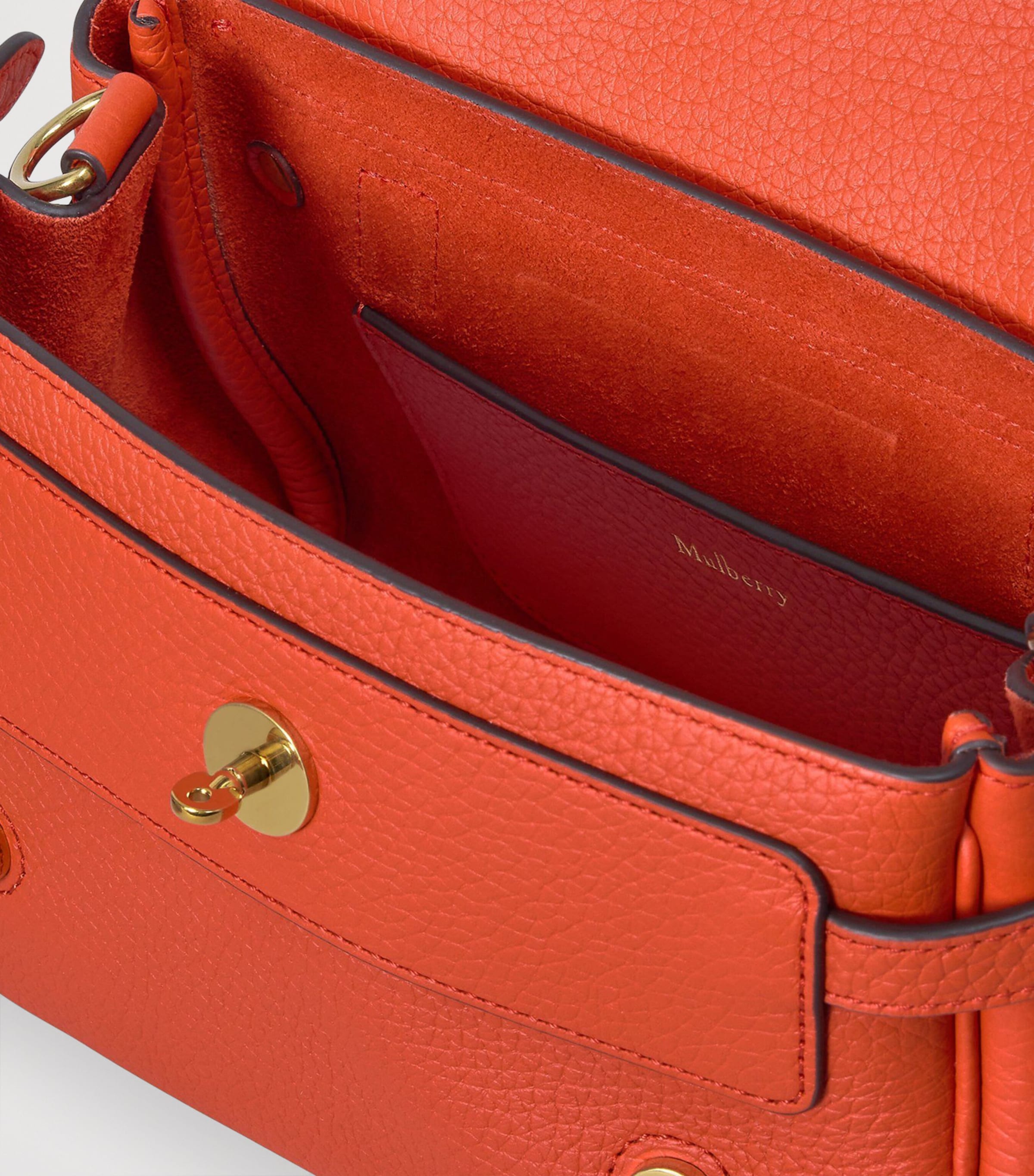Mulberry Leather Alexa Cross-Body Bag Coral Orange Image 5