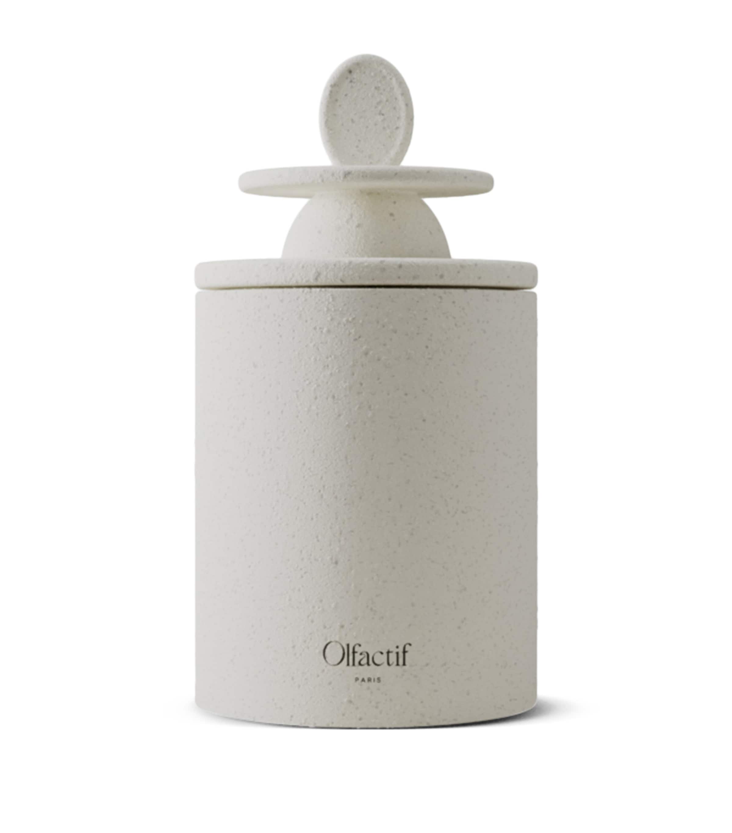 Olfactif Gemini Wild Berries Candle (240g) | Home Accessories | Candles