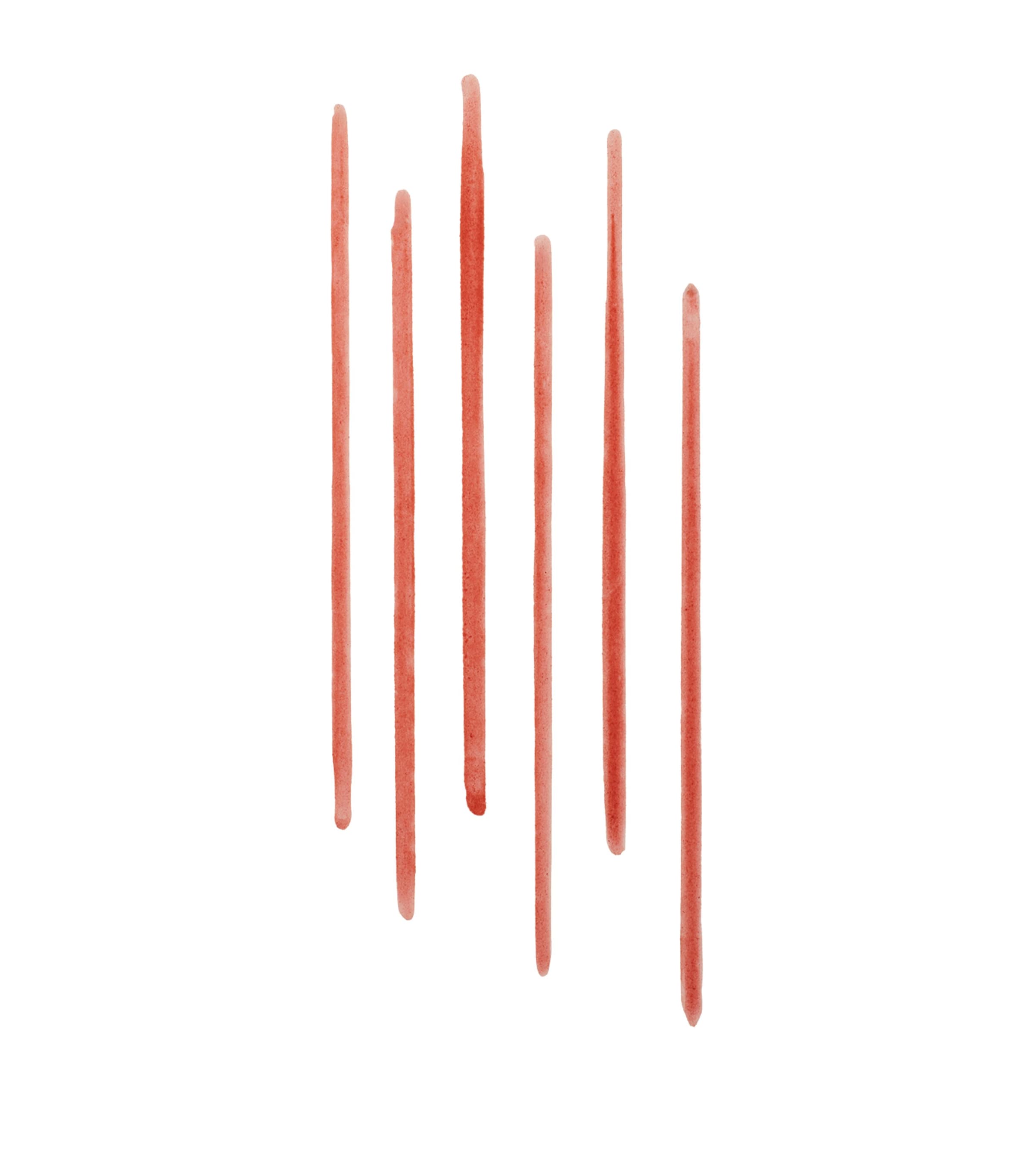 Bobbi Brown Lip Tint Liner Terracotta Image 4