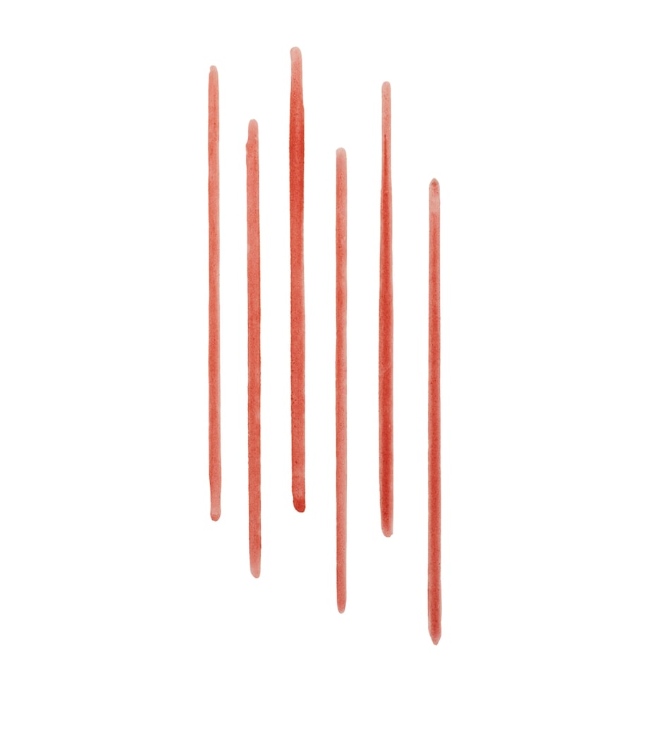 Bobbi Brown Lip Tint Liner Terracotta Image 4