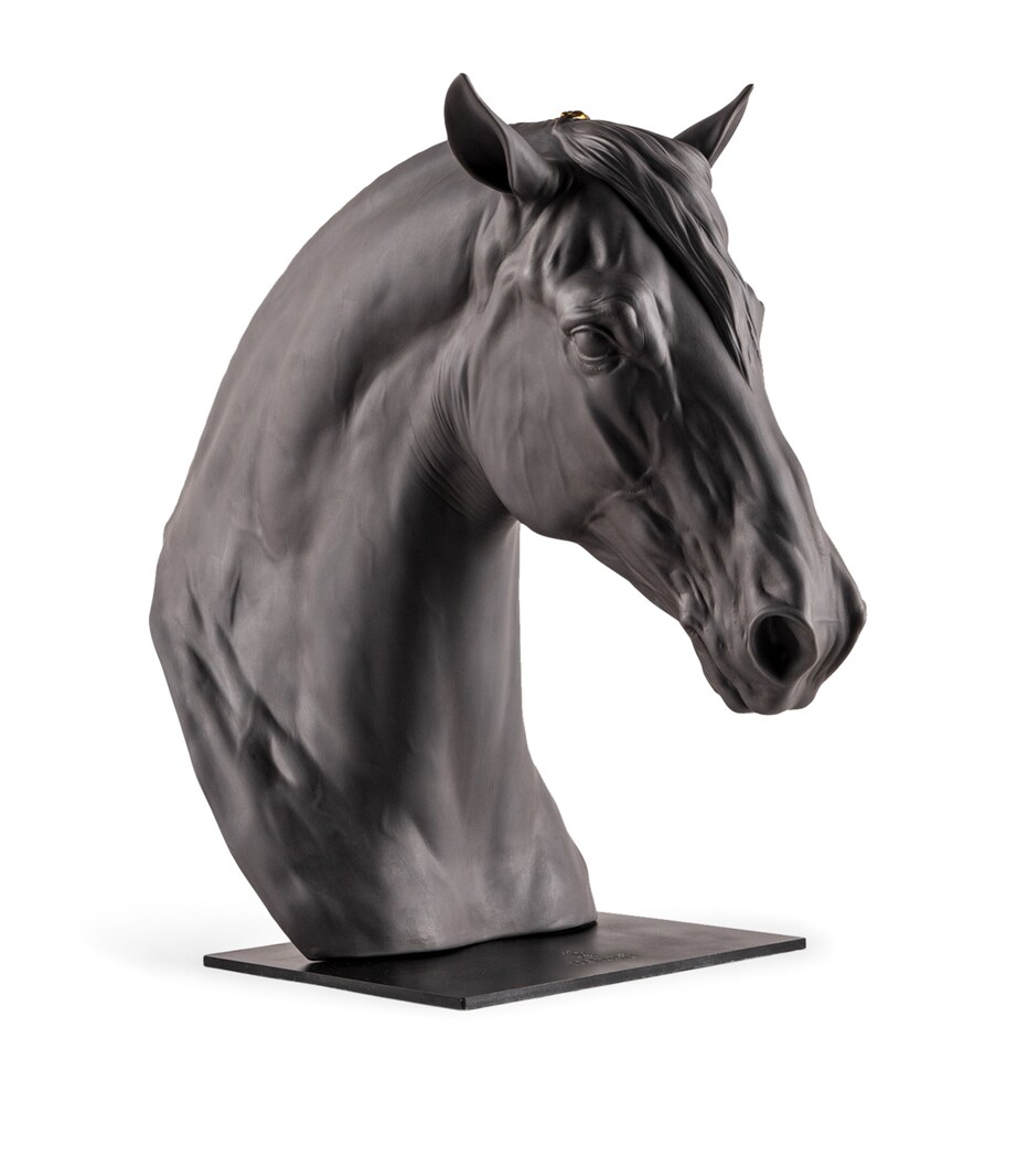 Equinus Horse Bust NO COLOUR Image 2