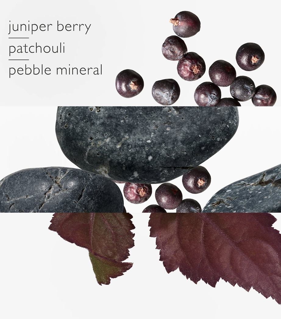 Eau des Merveilles Bleue Eau de Toilette (100ml) NO COLOUR Image 3