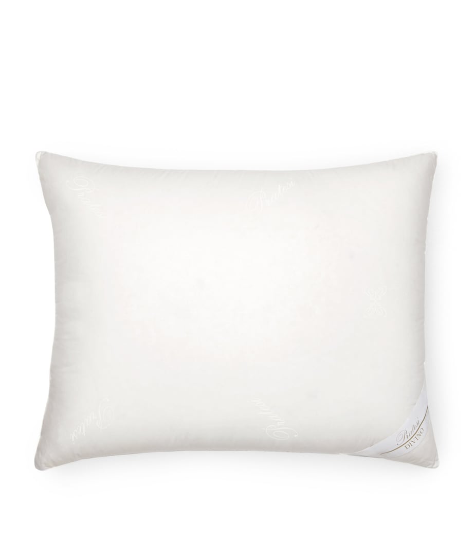 Down Divino Pillow (50cm x 75cm) NO COLOUR Image 2