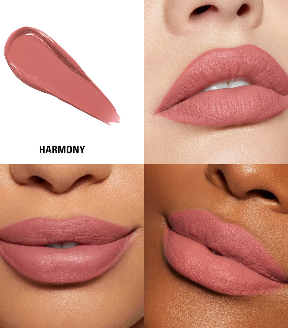 Velvet Lip Kit 305 HARMONY Image 3