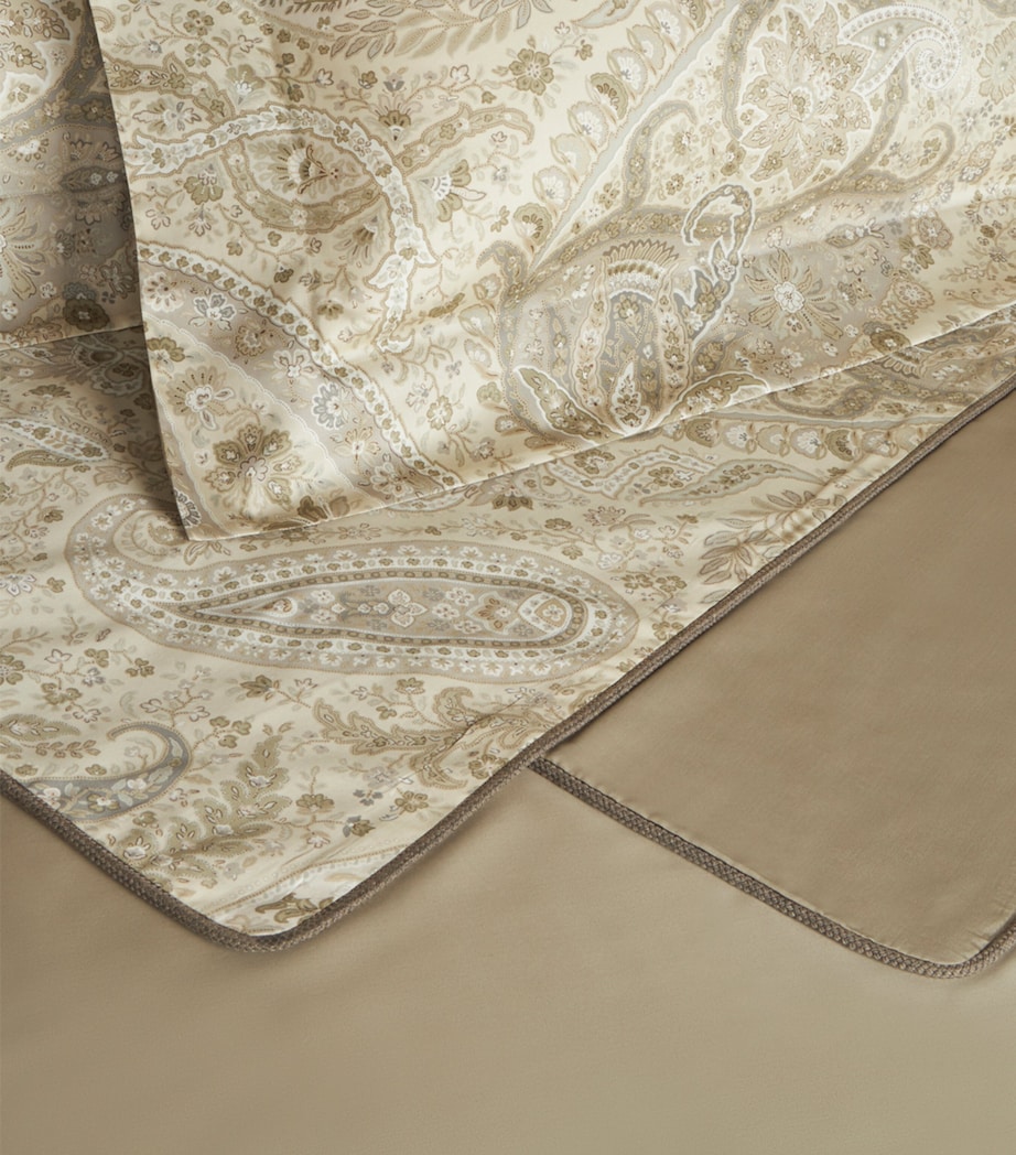 Etro Maranta Cushion (60cm x 60cm) Multi Beige Base Image 3