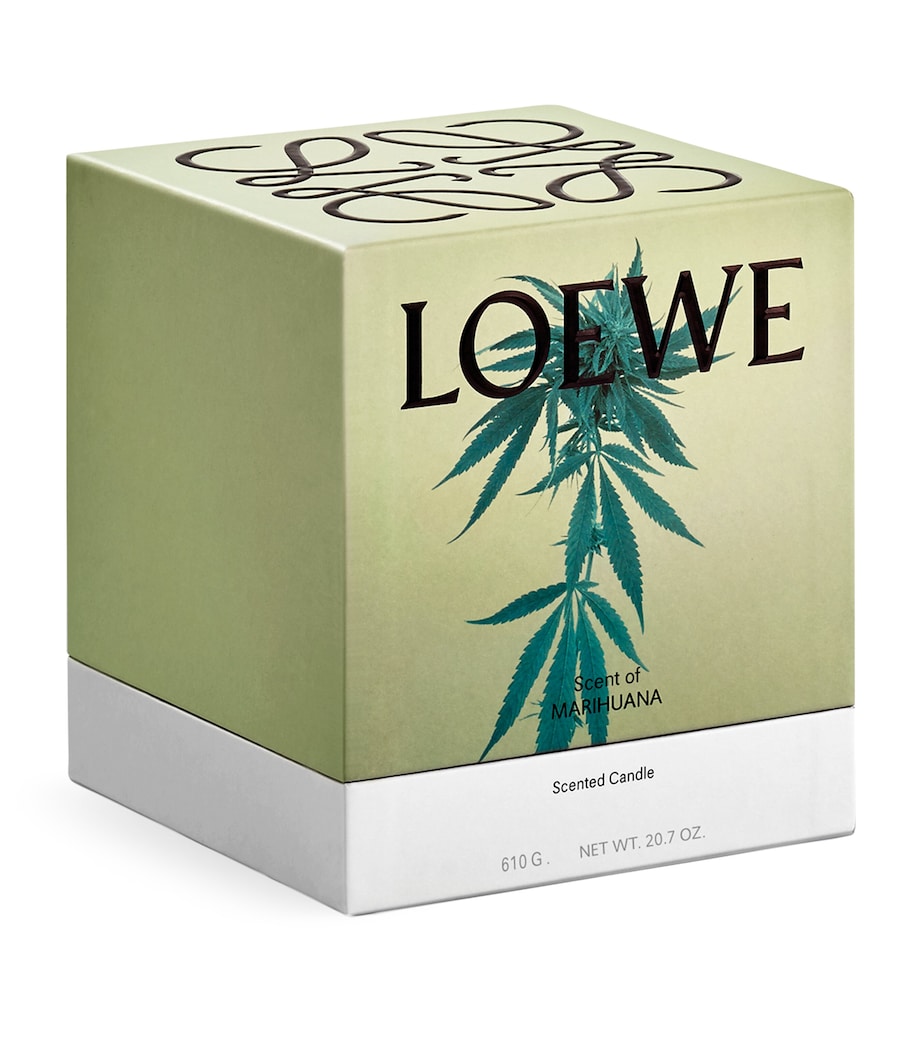 Marihuana Candle (610g) NO COLOUR Image 5