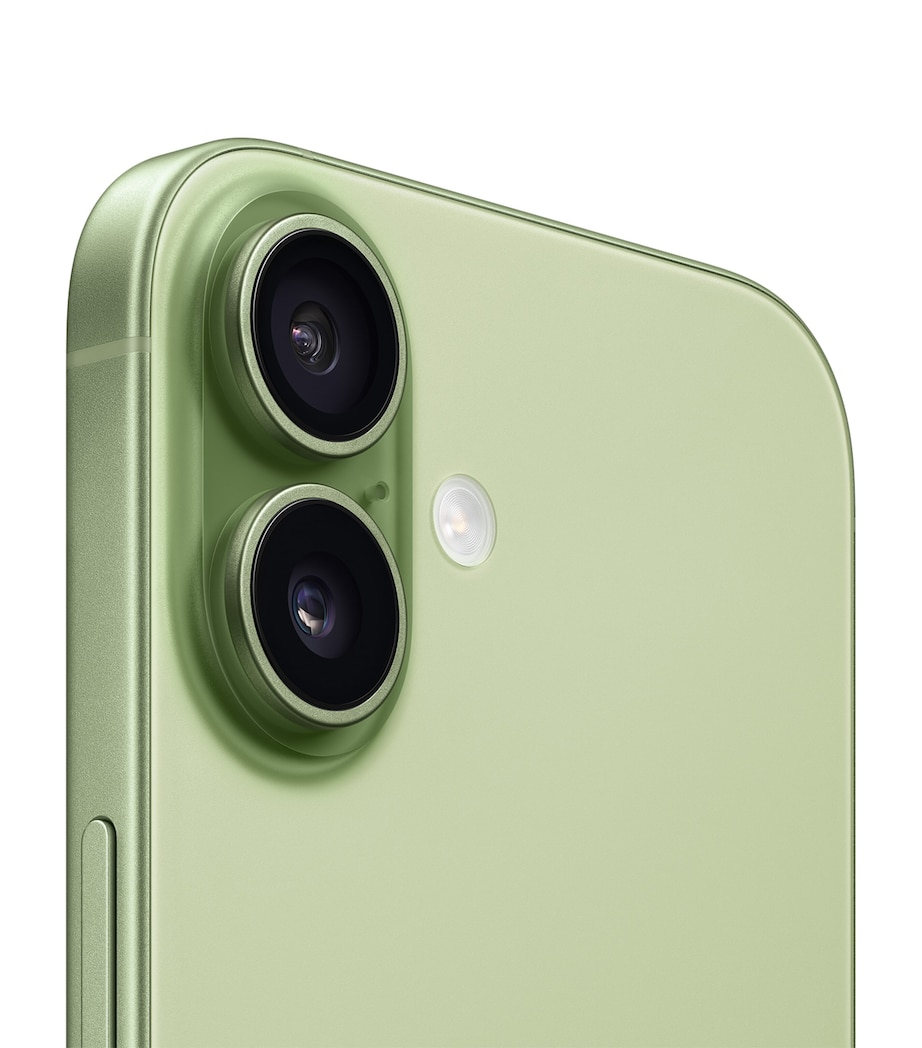 iPhone 17 256GB - Sage SAGE Image 3