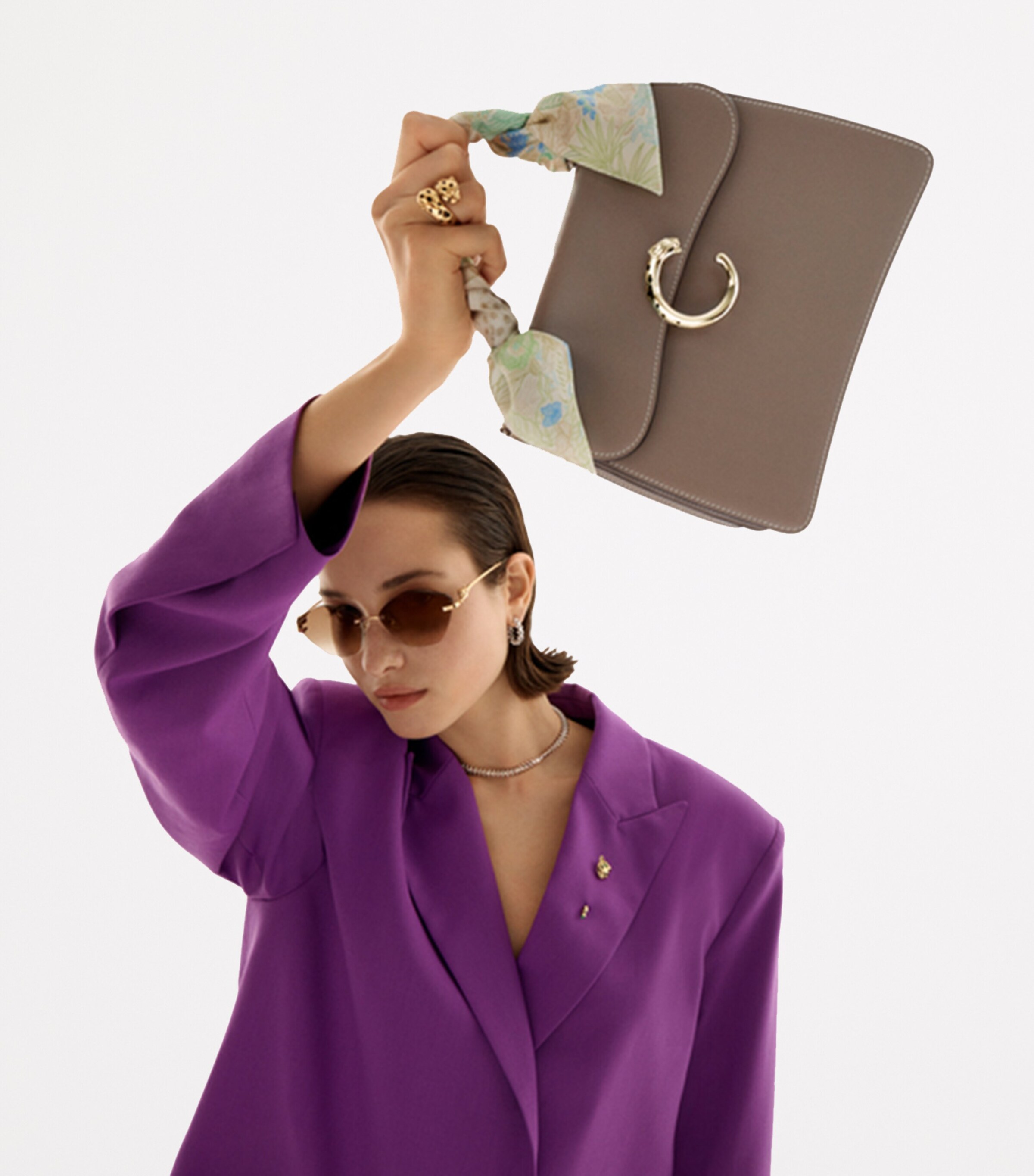 Small Leather Panthère C de Cartier Top-Handle Bag BEIGE Image 7