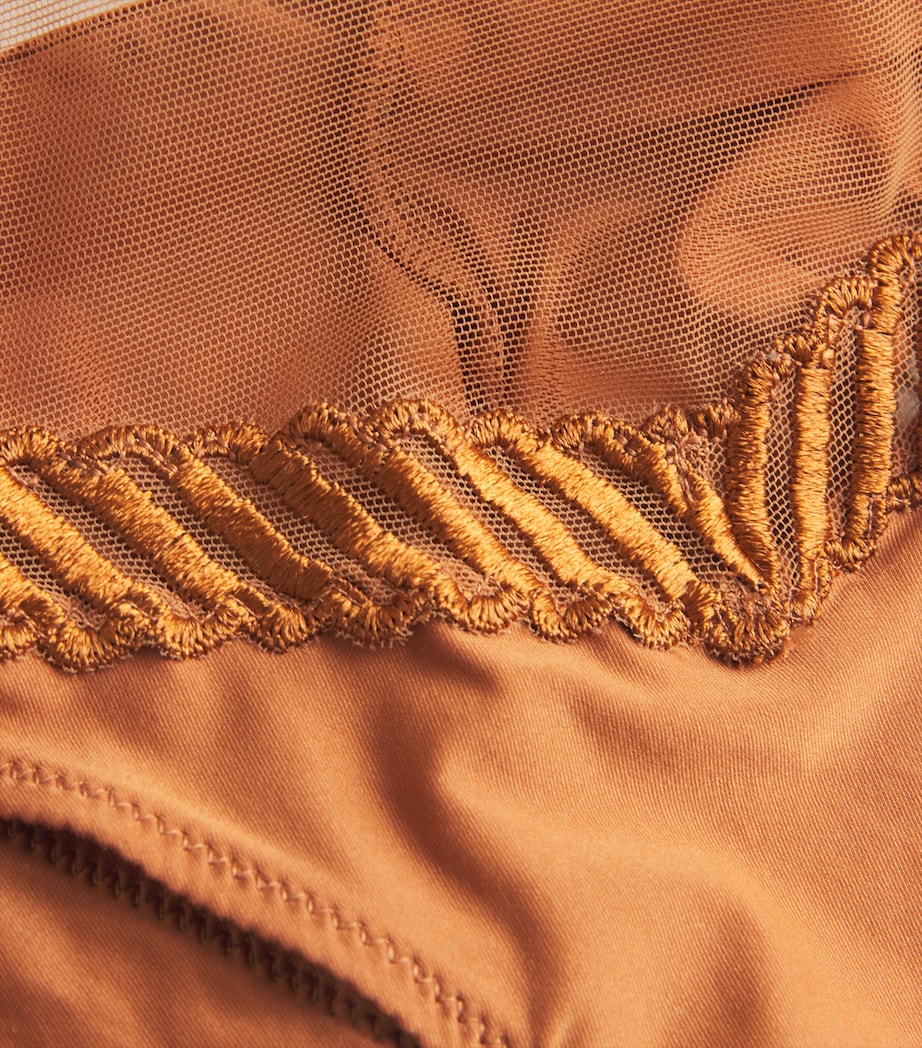 Sheer Emotion Tanga HONEY Image 4