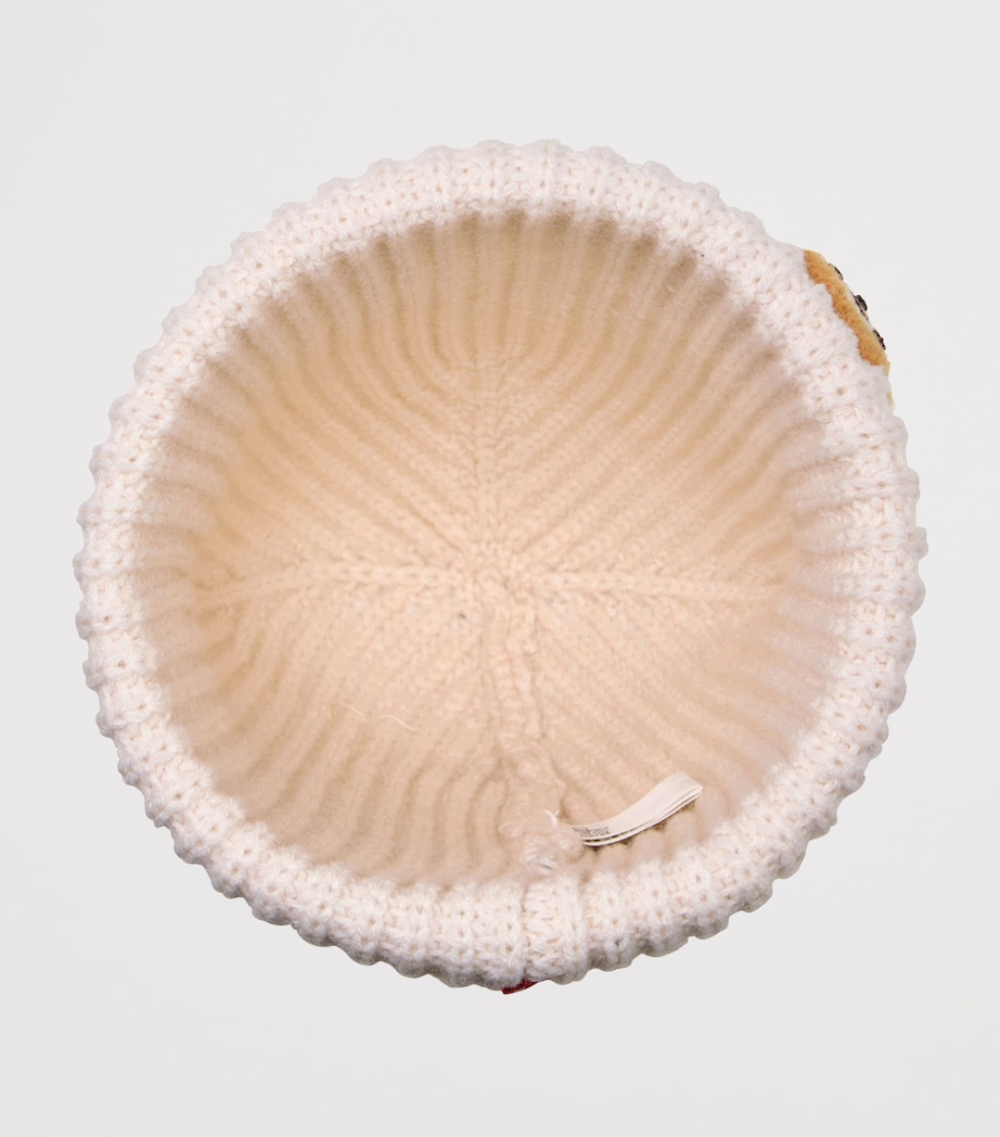 Knitted Felt Character Beanie Hat 31 Image 3