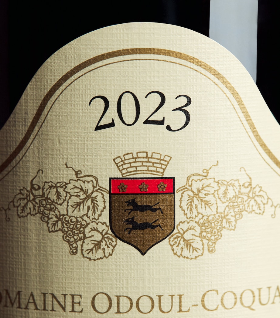 Odoul Coquard Gevrey-Chambertin 2023 (75cl) – Burgundy, France Image 2