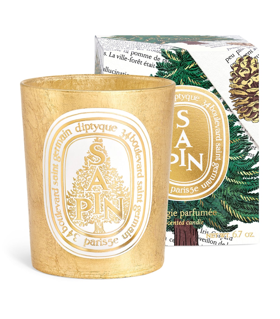 Sapin Candle (190g) NO COLOUR Image 1
