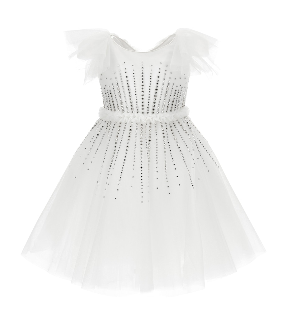 Tulle Embellished Dress (2-12 Years) PANNA Image 1