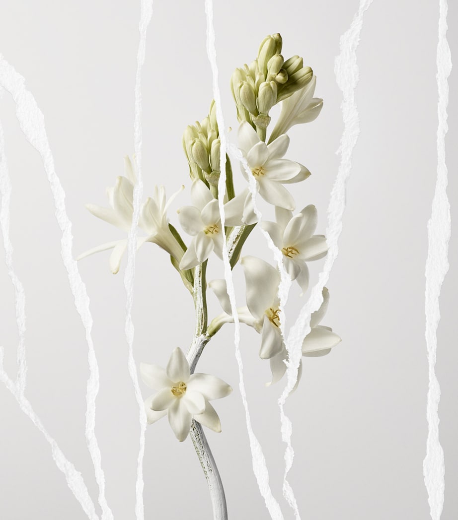 Mutinity Eau de Parfum (90ml) NO COLOUR Image 2