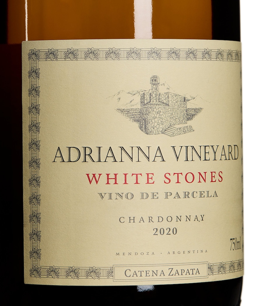 Catena Adrianna Vineyard White Stones Chardonnay 2020 (75cl) - Mendoza, Argentina Image 2