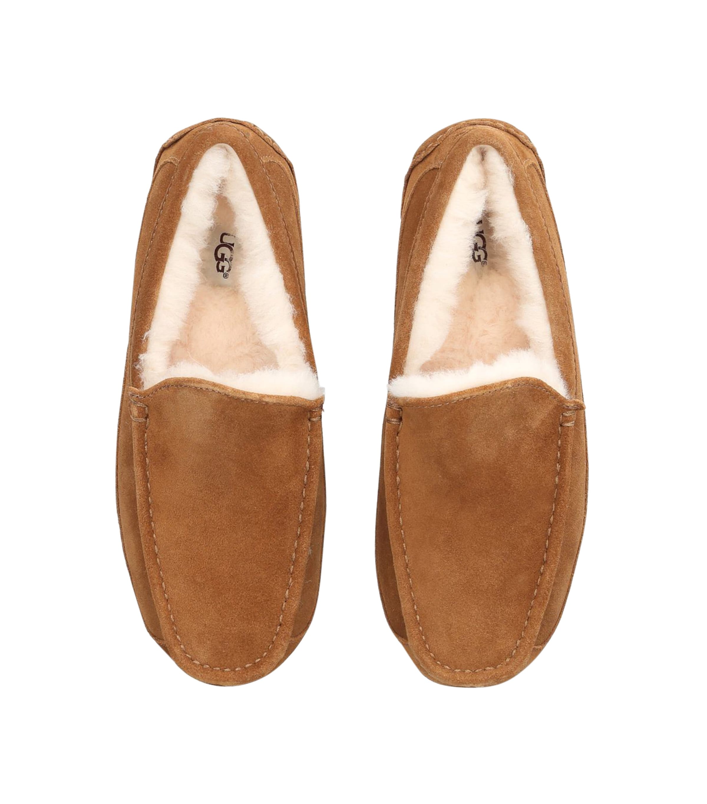 Suede Ascot Slippers BROWN Image 6