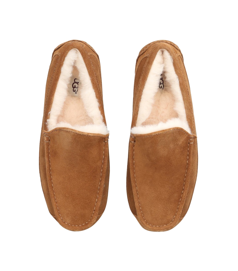 Suede Ascot Slippers BROWN Image 6