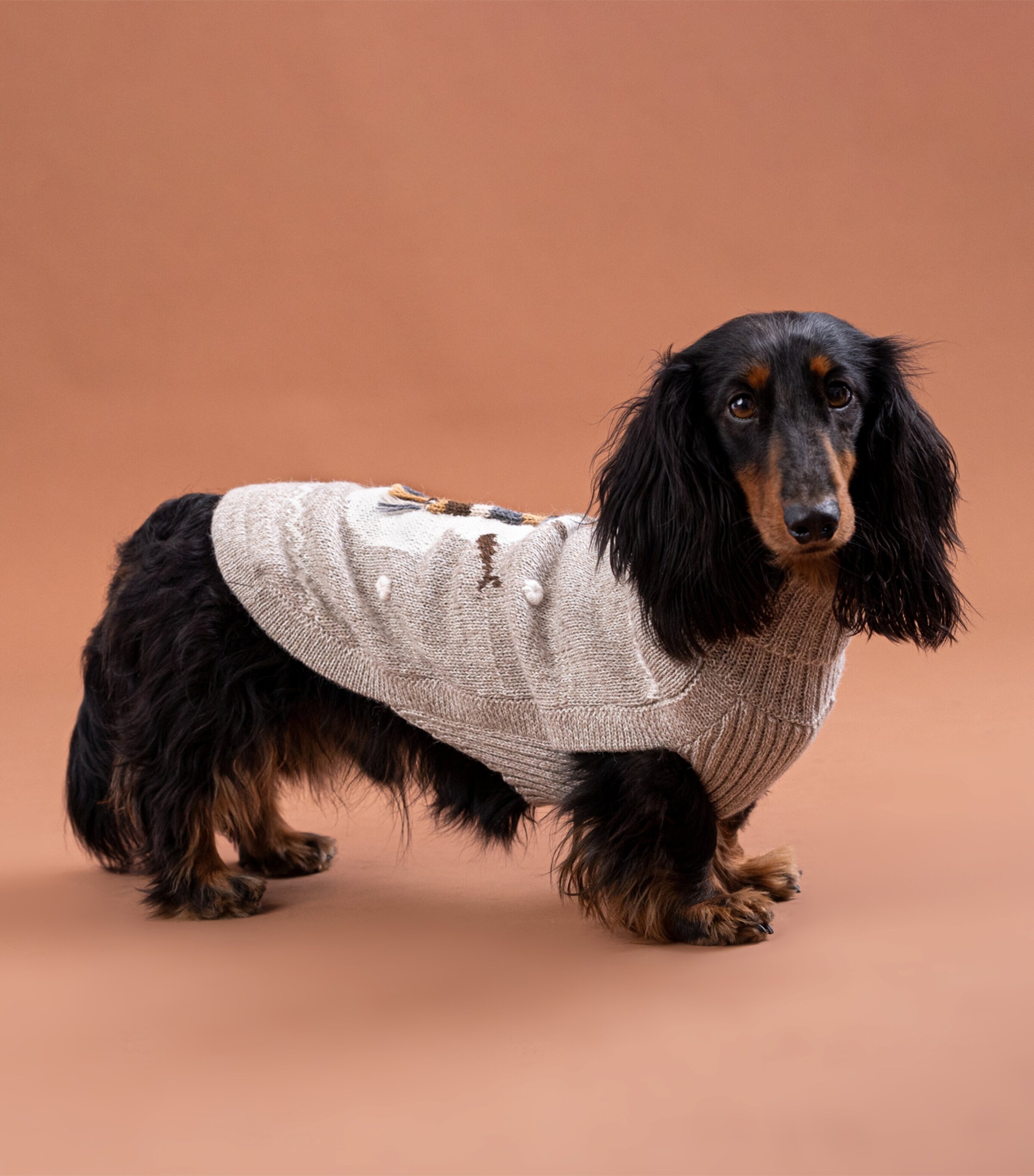 Alpaca-Blend Snowman Dog Sweater BEIGE Image 2