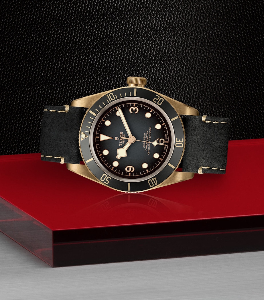 Black Bay Bronze Watch 43mm GREY Image 4