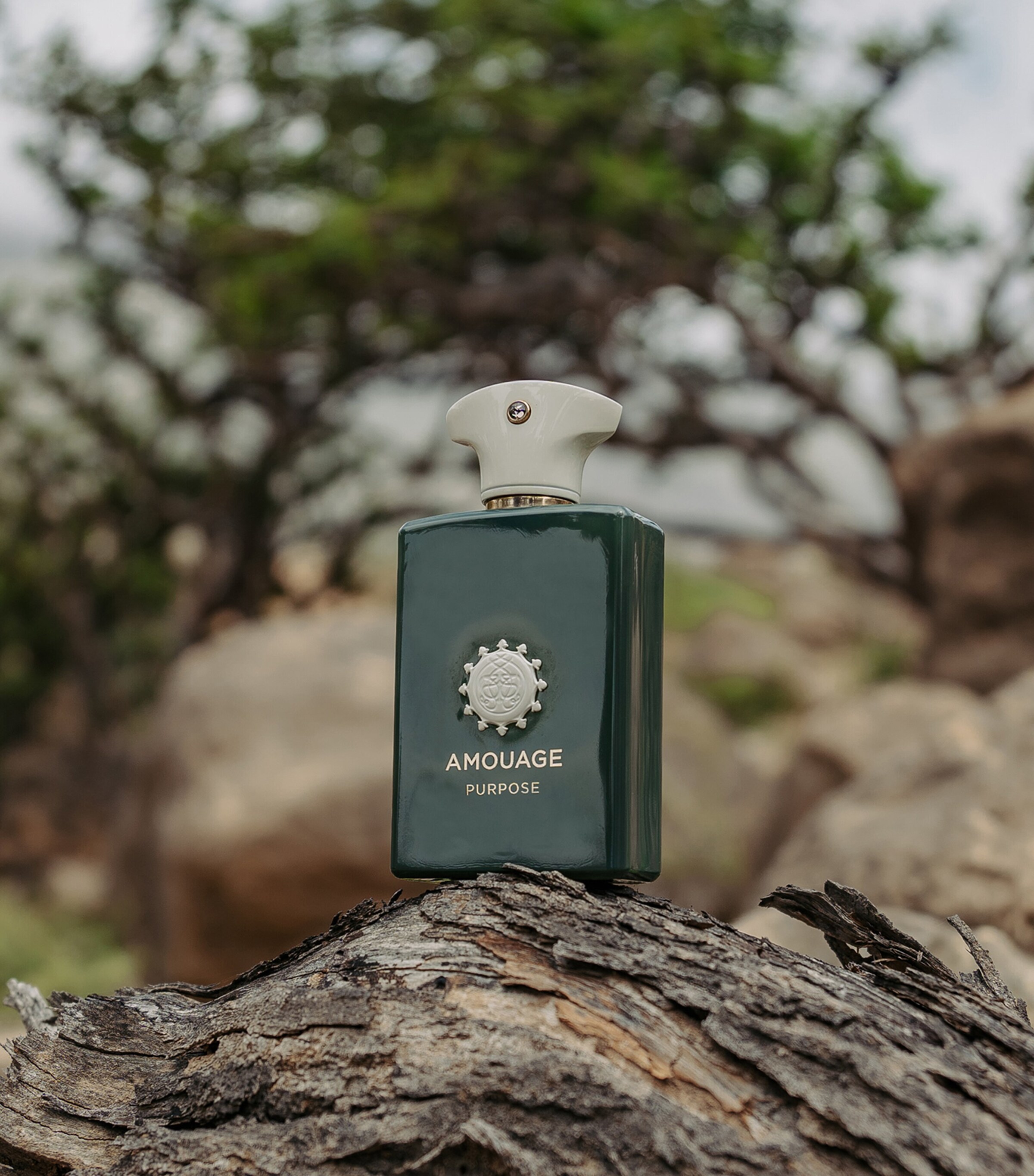 Amouage Purpose Eau de Parfum (100ml) | Harrods US