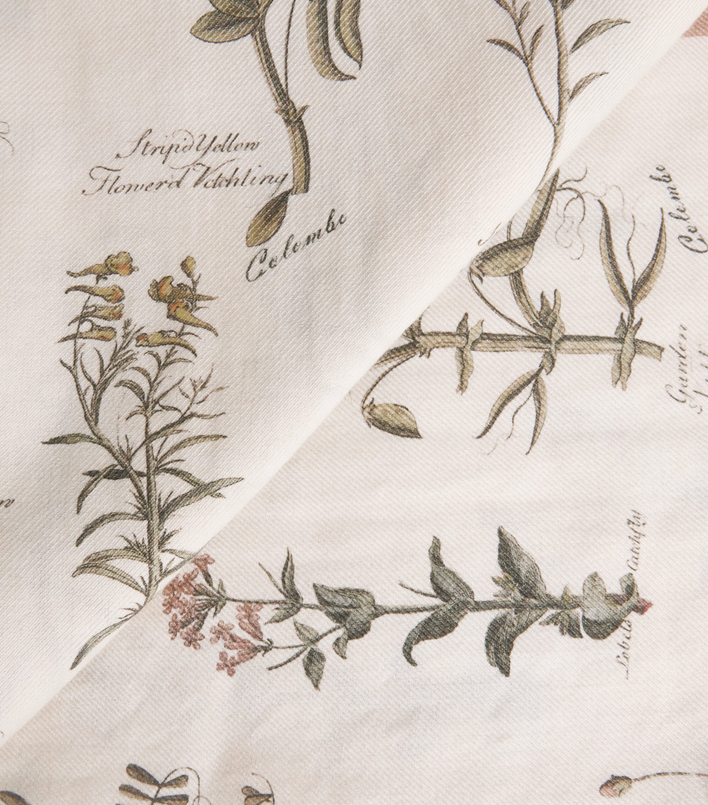 Colombo Cashmere-Silk Printed Scarf Image 4