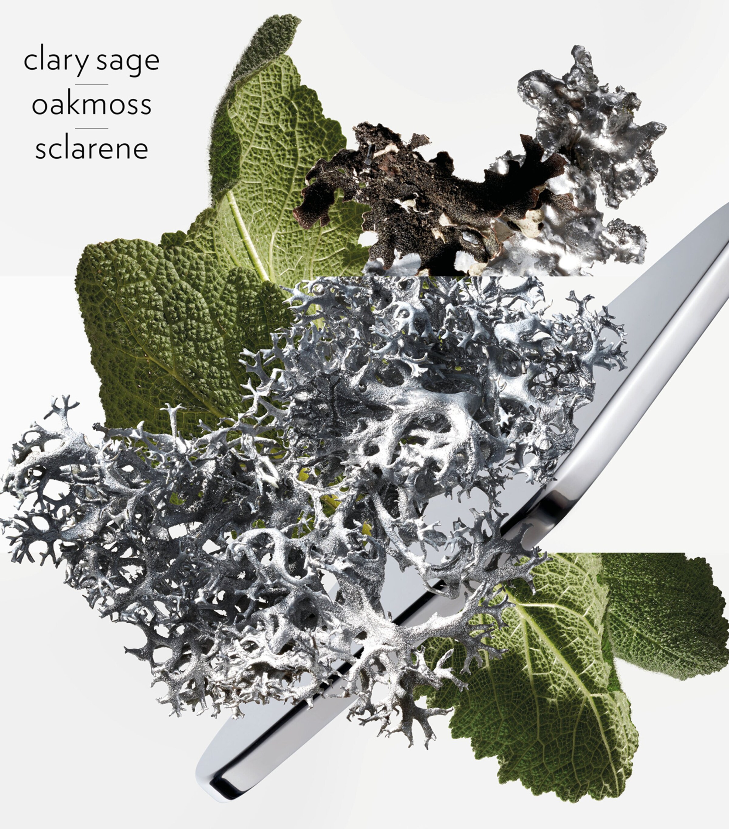 HERMÈS H24 Eau de Parfum (50ml) Image 4