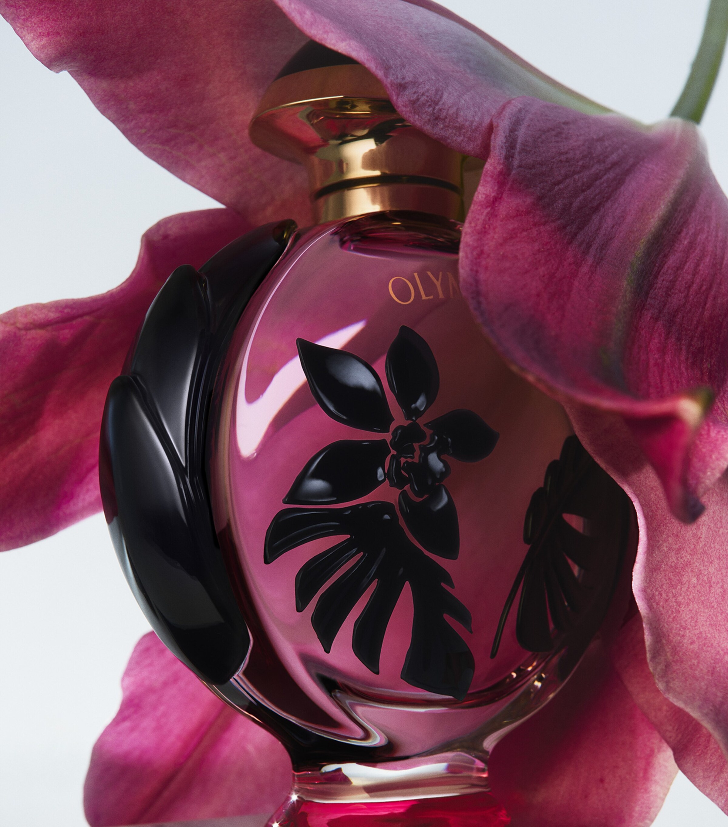 Olympea Floral Eau de Parfum (50ml) NO COLOUR Image 3