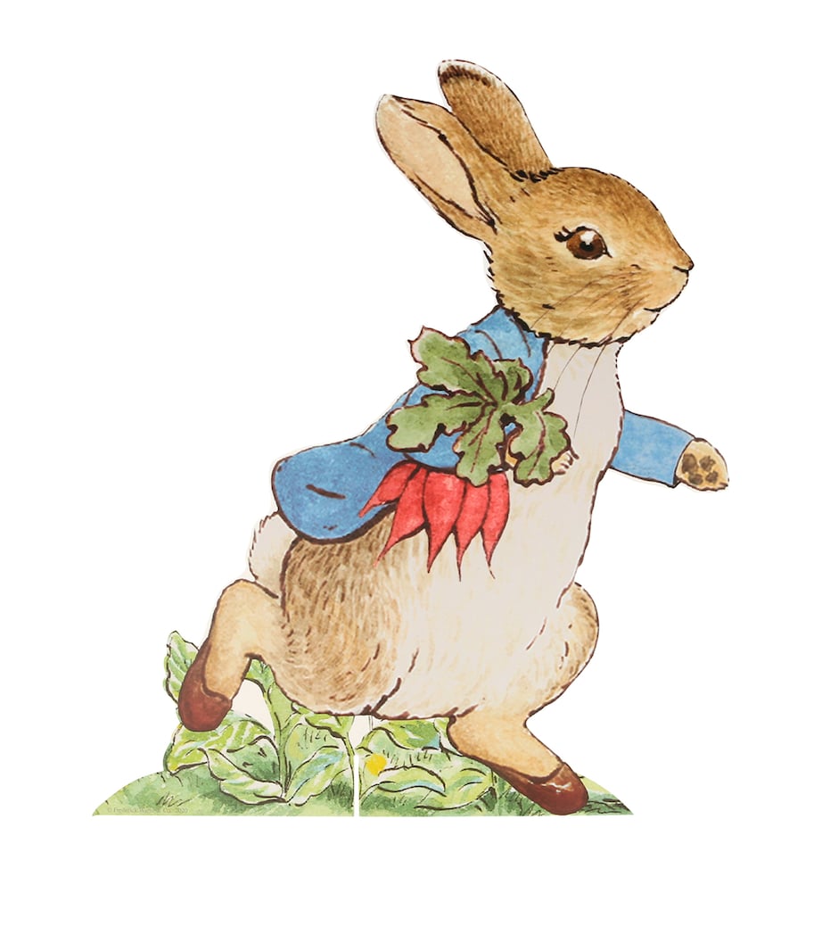 Peter Rabbit Egg Hunt Kit MULTI Image 11