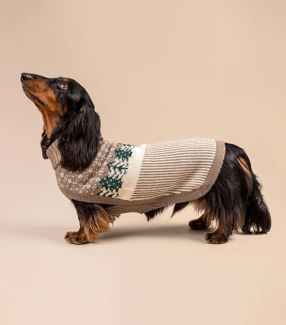 ALQO WASI Alpaca-Blend Frosted Grove Dog Sweater (Small) Frosted Grove Image 2