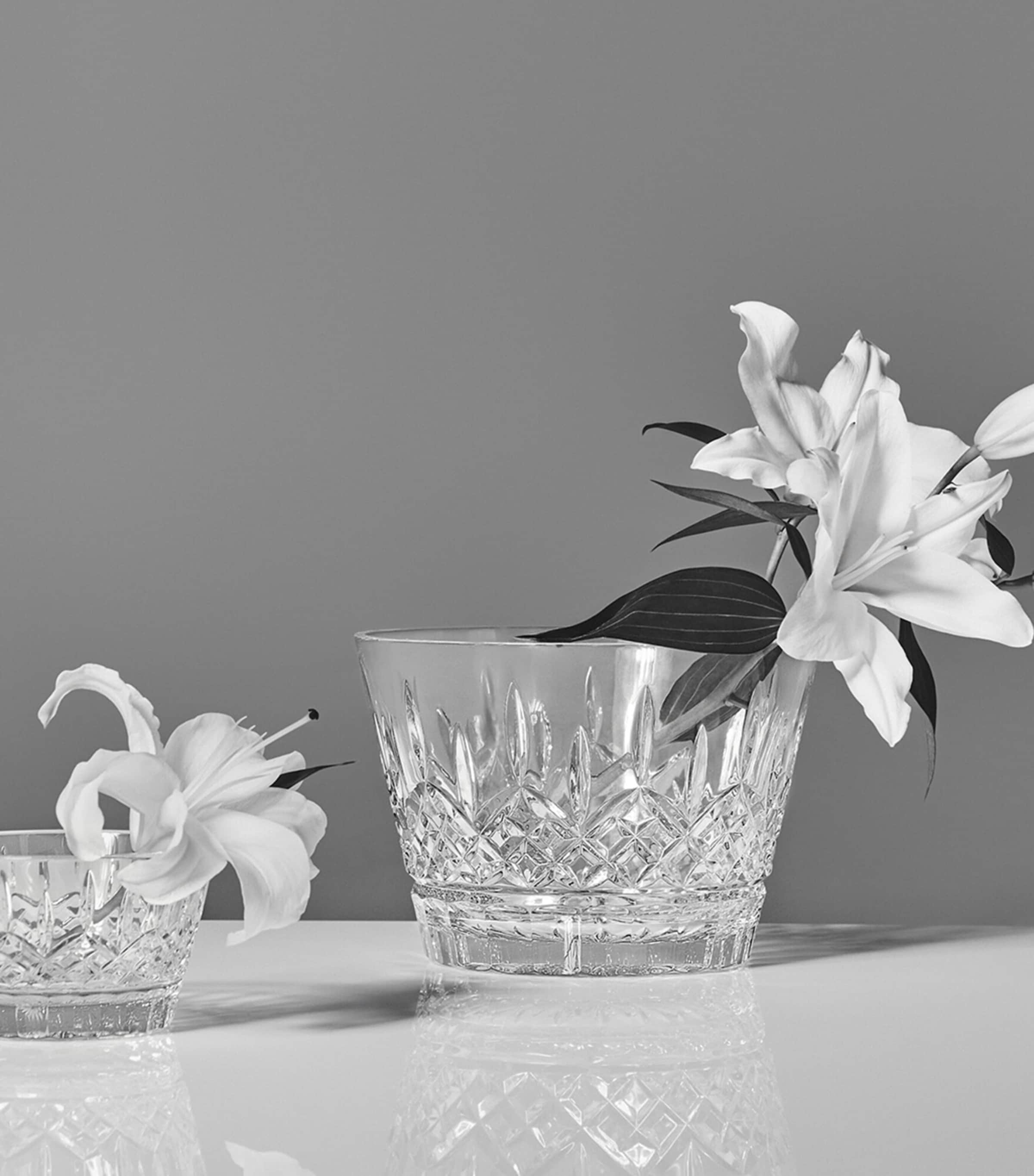 Lismore Essence Bowl (23cm) CLEAR Image 2