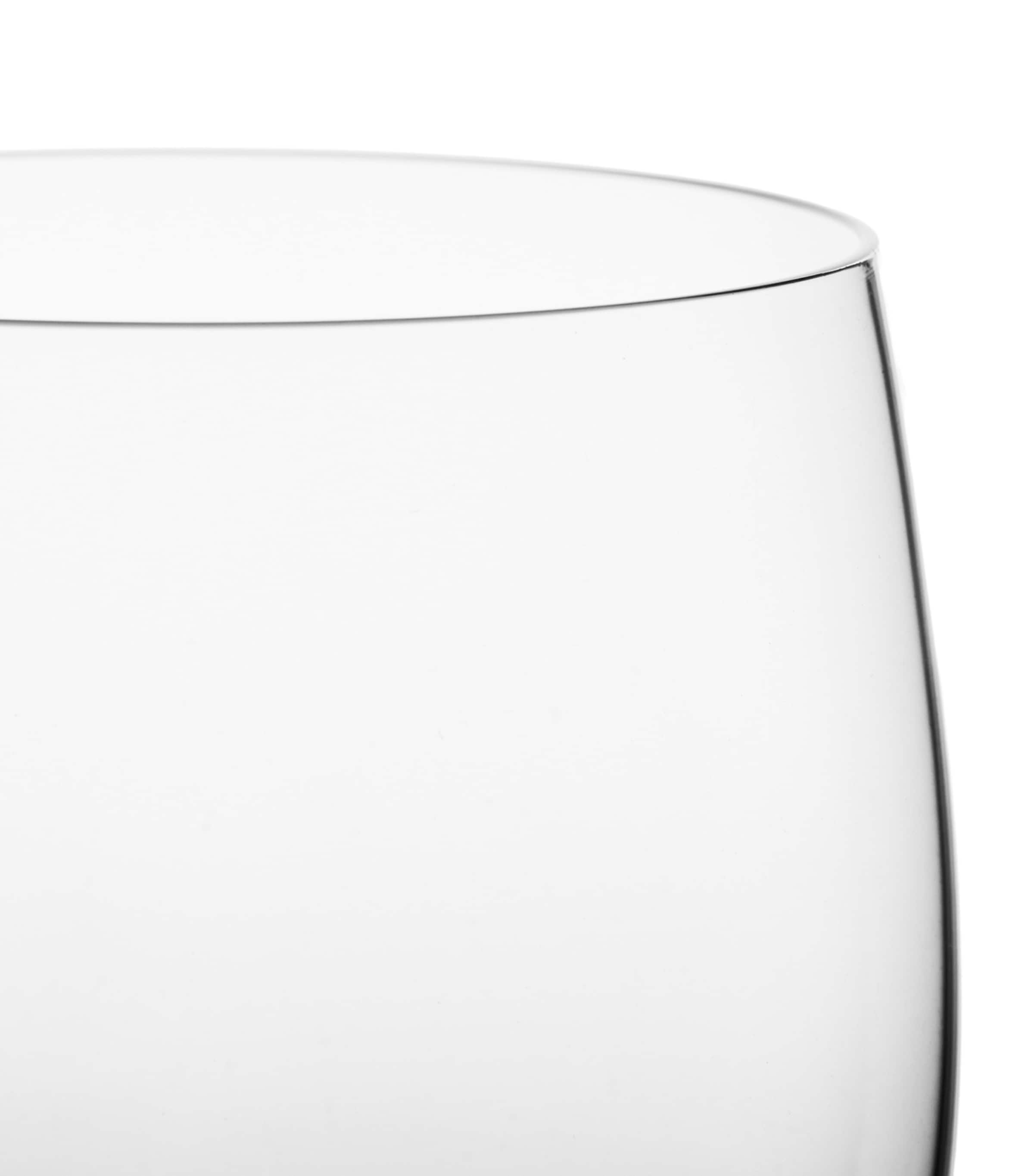 The Conran Shop Grove Wine Glasses (Set of 4) Glass Image 4