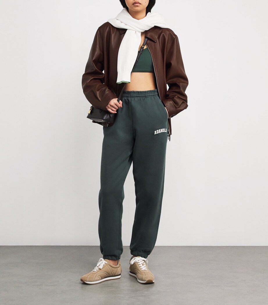 Ultimate Scoop Sports Bra PINE GREEN Image 2