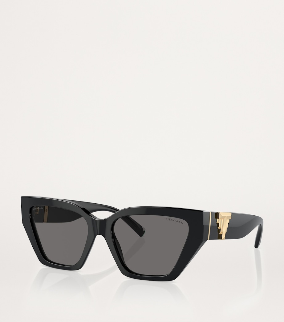 Steel TF4218 Sunglasses 800181 Image 2