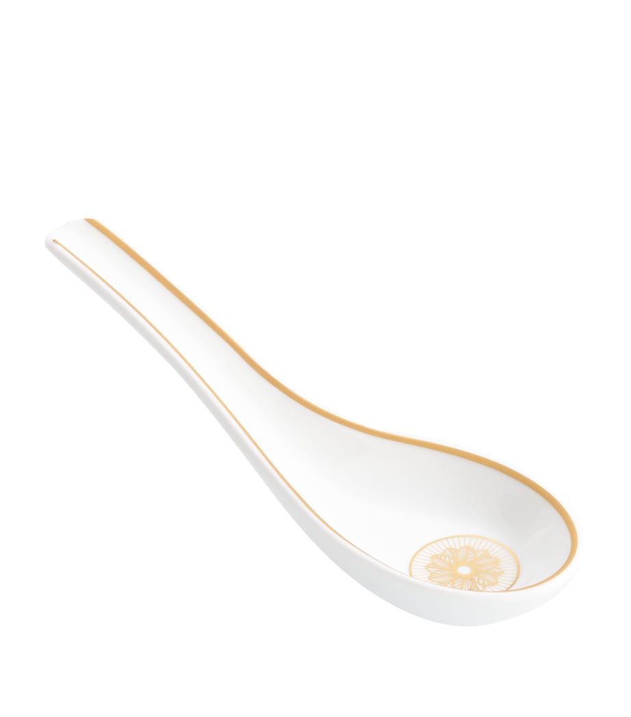 Christofle Porcelain Malmaison Platinum Impériale Chinese Spoon Silver Image 1