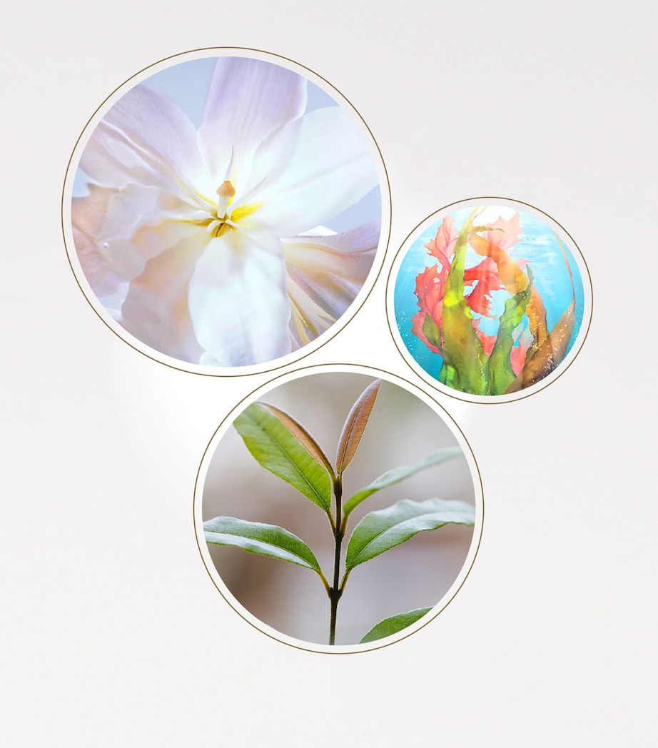 The Serum (50ml) - Refill NO COLOUR Image 5