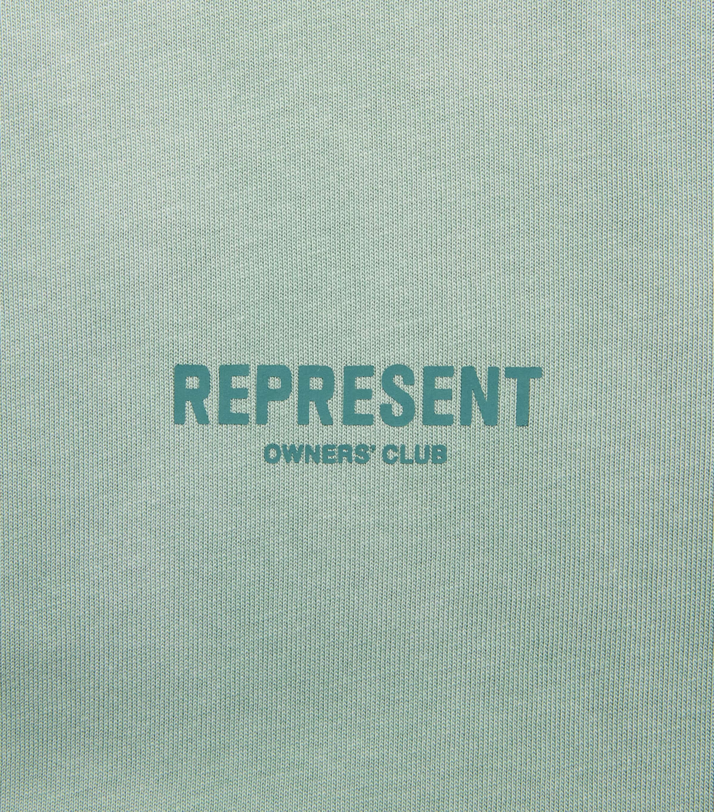 Represent Mens Cotton Owners Club T-Shirt Washed Aloe Image 6