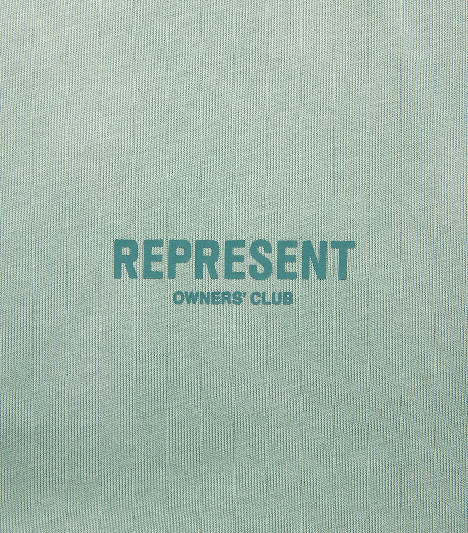 Represent Mens Cotton Owners Club T-Shirt Washed Aloe Image 6
