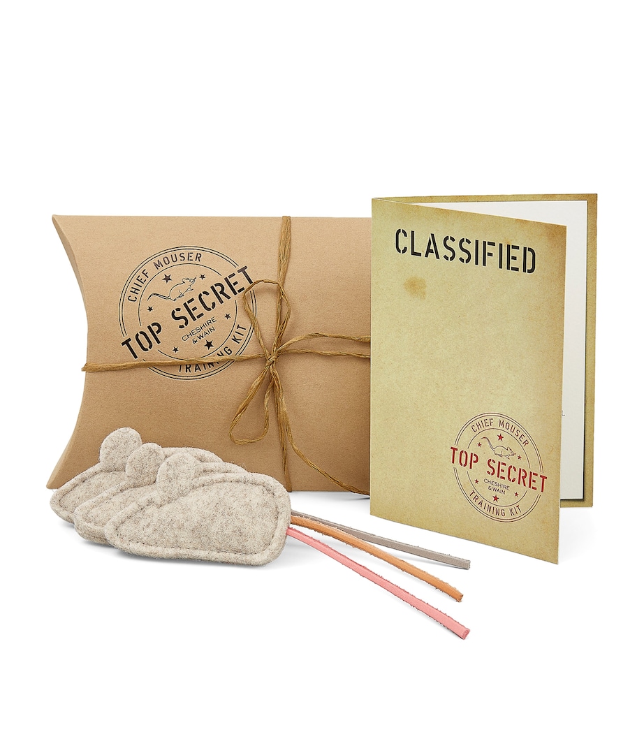 Cheshire & Wain Chief Mouser Training Kit Cat Toy Image 1