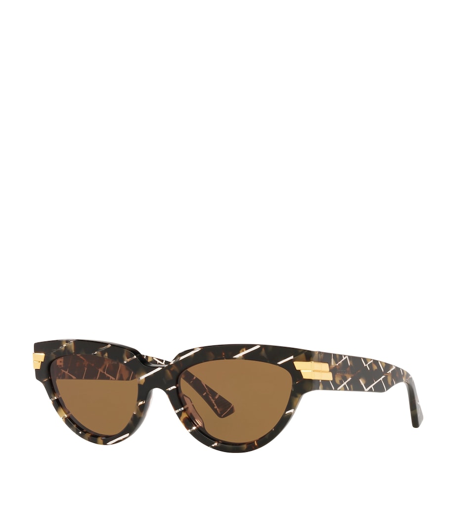 Round Sunglasses 4402D1 Image 2