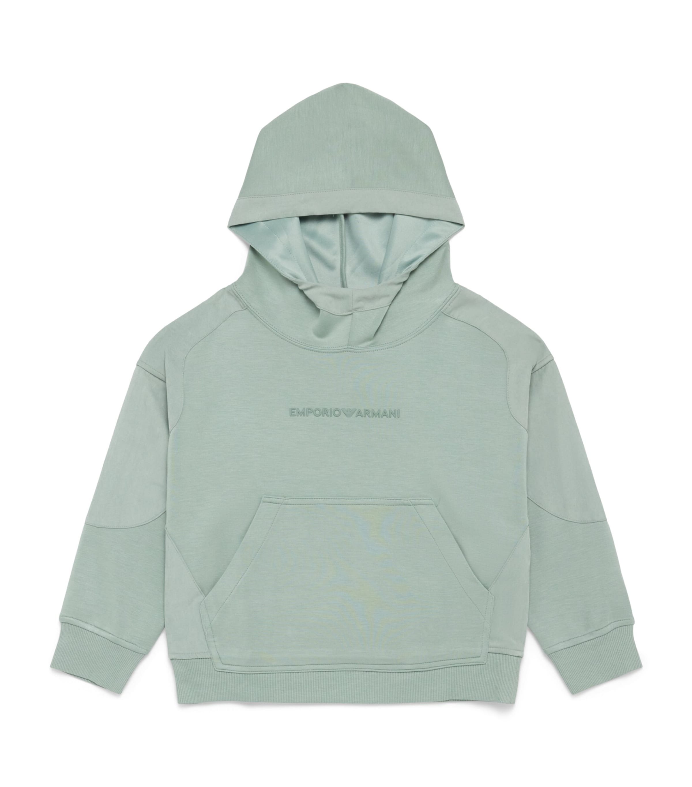 Emporio Armani Kids Cotton Logo Hoodie (4-16 Years) Iceberg Green Image 1