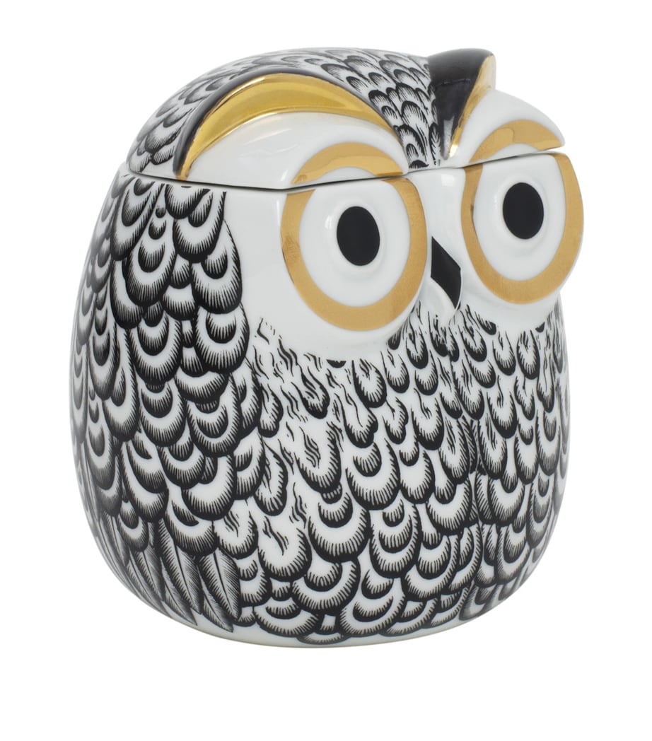 Fornasetti Civetta Piumata Pot (12cm) Image 2