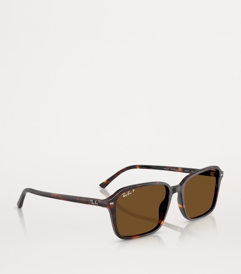 RB2231 Raimond Sunglasses 902/57 Image 6