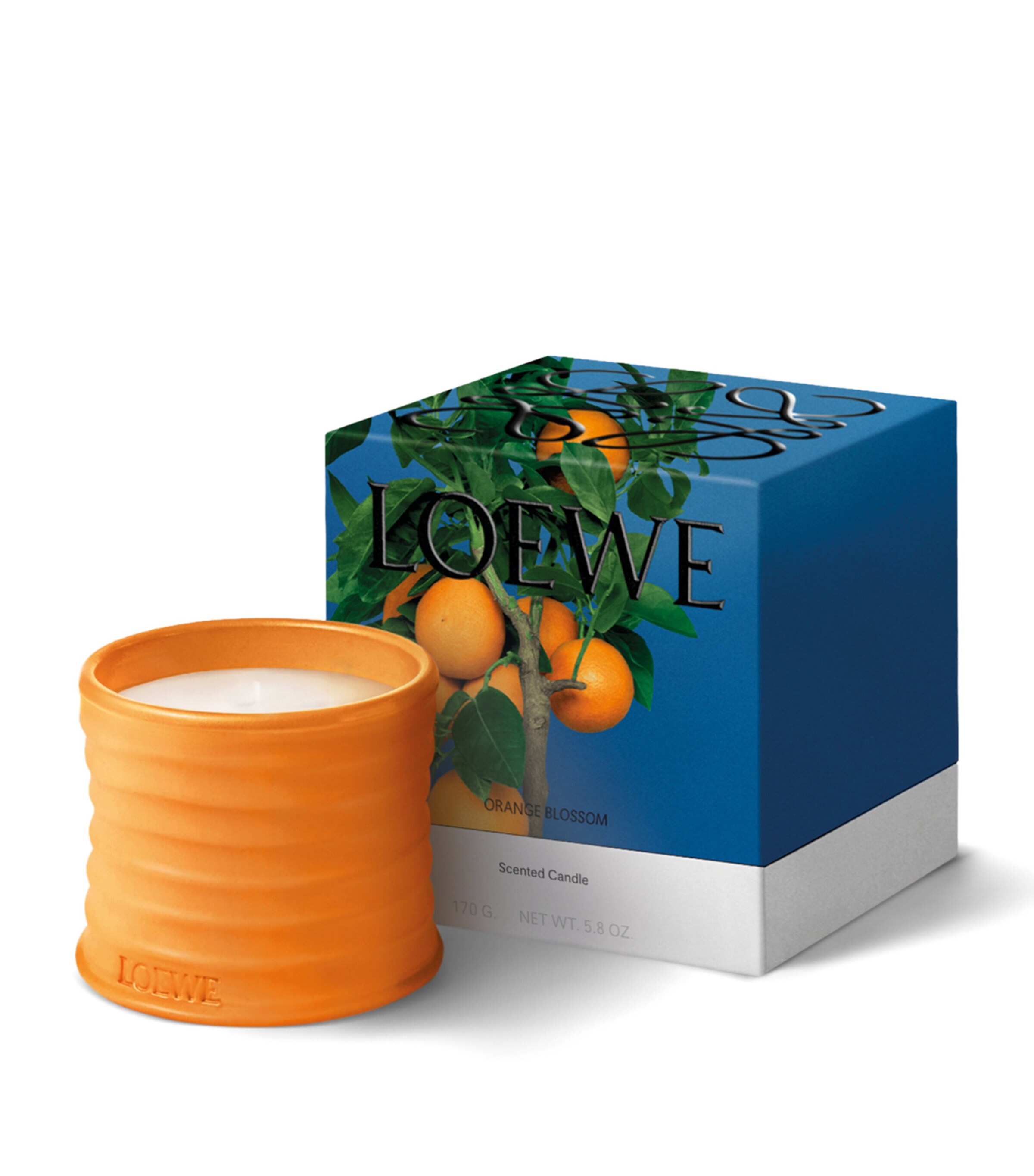 超ポイントバック祭】 オレンジブロッサム LOEWE - オレンジ