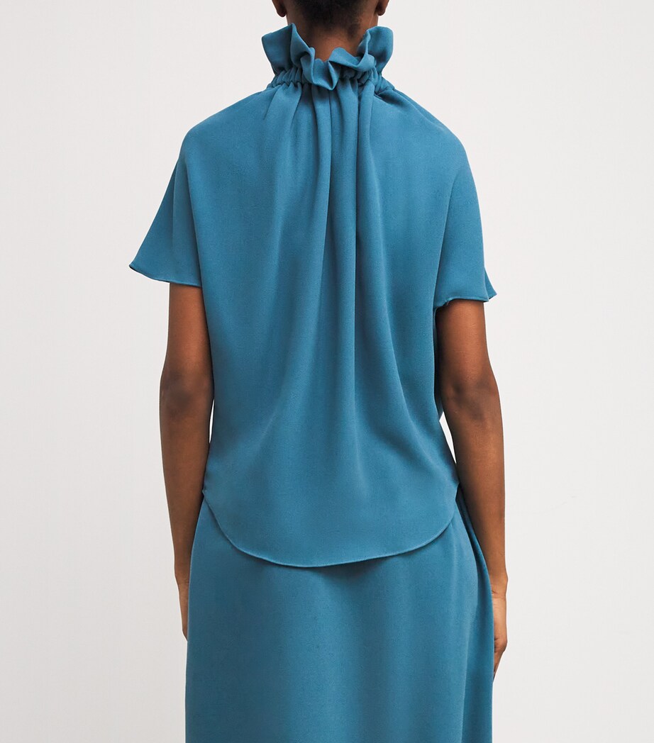 Ruff Blouse COR Image 4